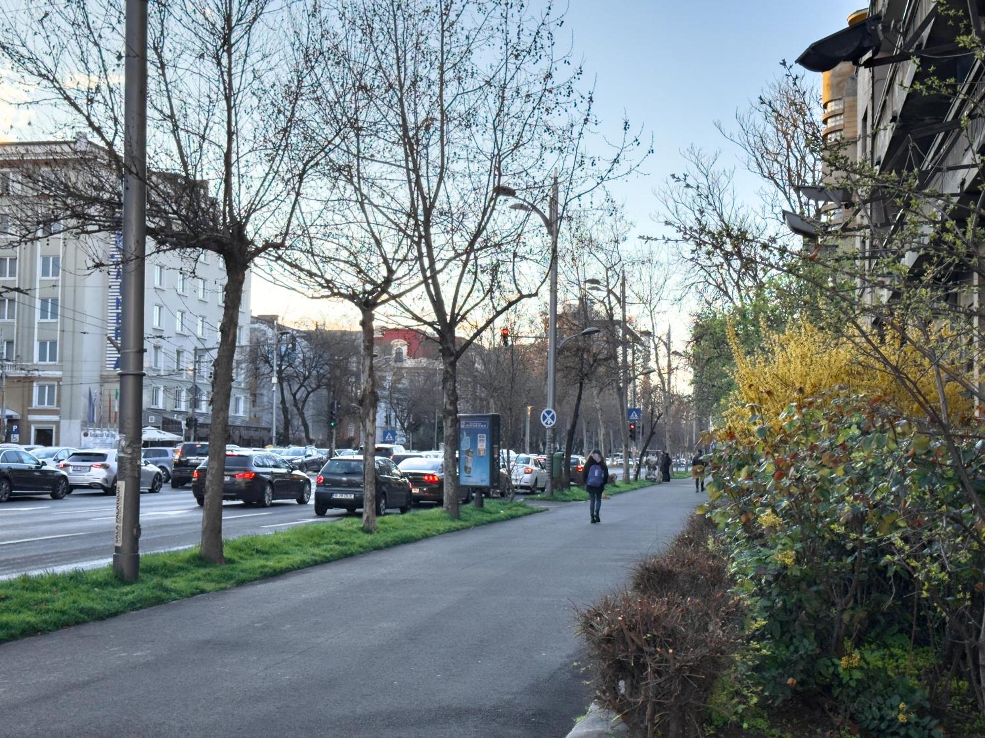 Central Retreat Apartments Bucureşti Eksteriør bilde